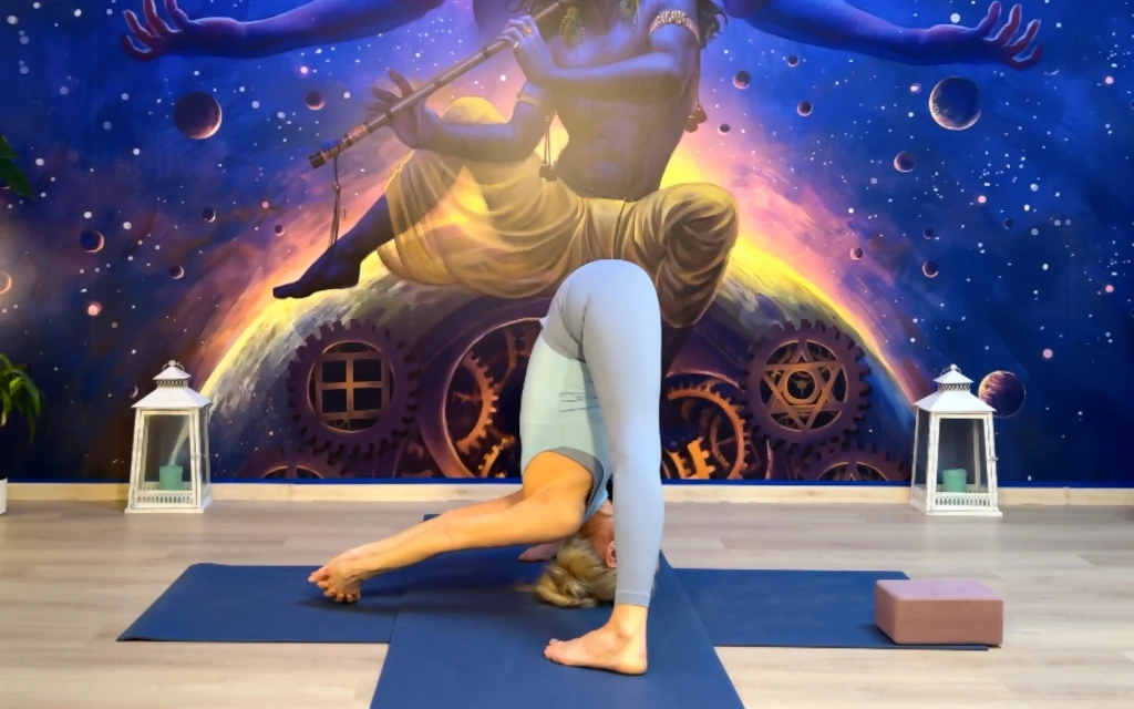 Prasarita Padottanasana